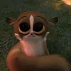 pornoxab3