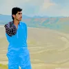 aneeslashari20