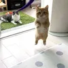 minhduc22100