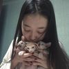 chibiscus_