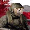 TeddBearr