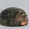 user80ydq4t0z6