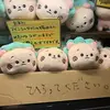 shi_pipipi