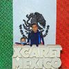 andrefrancotorresgarcia