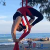 veganaerialist