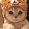 julynwlx