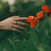 user6107114113985
