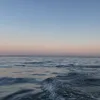 o88_l1