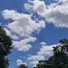 mrssainz94