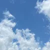 rds736