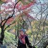 nfhanani