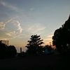 whyuarka_29
