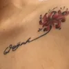 quynh.19988