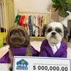 Gigi & Coco Sweetzu