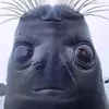 kostika_mpalla
