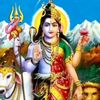 manjubasnet41
