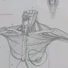calie_animaton