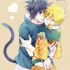 le_petit_chaton_8