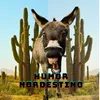 Humor  Nordestino 🌵