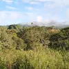flaviorodrigues300