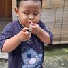 mulyanto Aja