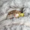 wuynlbr