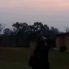 eu_nicolyx