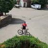 tinoschulz67