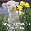 mustafaceylanli40hu