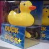 natha_fh303