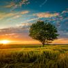 eastanders_h