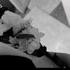 fatma_polatt