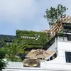 treevingcoffee