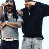 monkeydogshit2