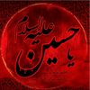 fatima_gull_12
