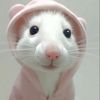 nanaaa_894