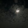 default_503