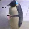 mn1nd