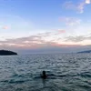 analu000._