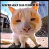 andrekill90