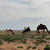 aborahm111