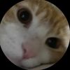 8loq_