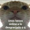 cerbero.off