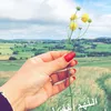 hanenelwatan