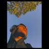 ucancallme_shadow
