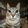 thamy_rodri369