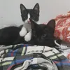 lindaooo.io