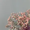 farahkayed0