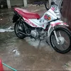 trevisol66