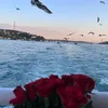 ameia.tn